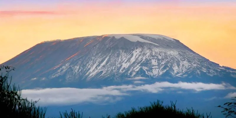 Discover Airlines Kilimanjaro Office in Tanzania