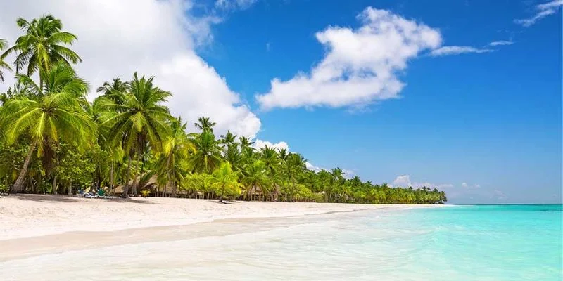 Discover Airlines La Romana Office